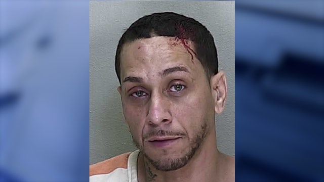Florida woman strikes intruder with hammer while husband holds him at gunpoint: affidavit