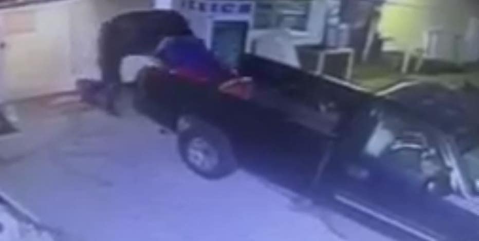 Stolen booty: Florida man plunders huge Captain Morgan statue from liquor store