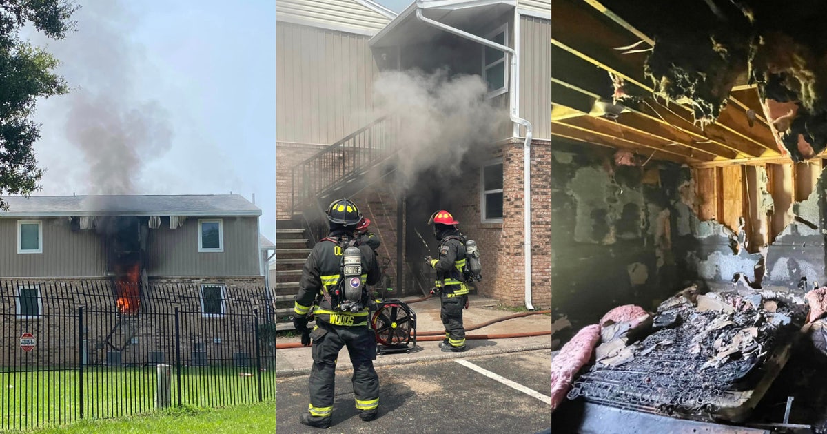 Florida firefighters rescue dog from house fire sparked by lit firework ...