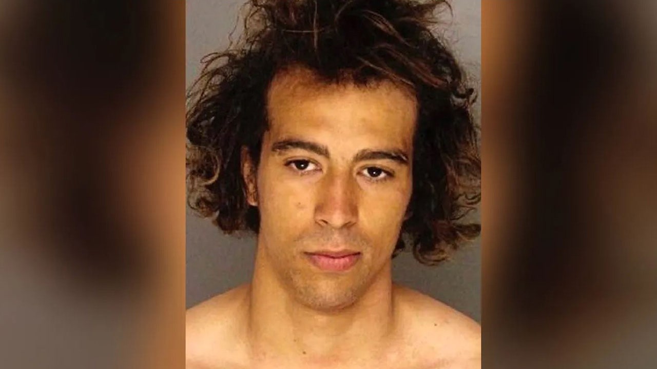 Pittsburgh police arrest suspect in brutal attack on newlywed found in 'puddle of blood' during honeymoon - Vimarsana News