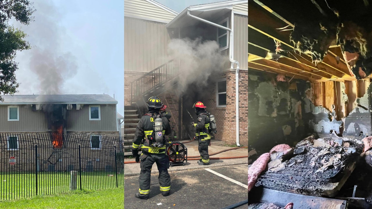 Florida firefighters rescue dog from house fire sparked by lit firework Florida firefighters rescue dog from house fire sparked by lit firework