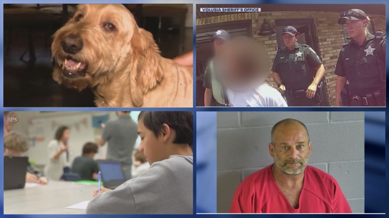 Florida man kills neighbor's dog • Florida child arrested for fake 911 text • Hundreds of FL teachers resign - Vimarsana News