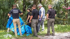 Body of woman found alongside road in New Smyrna Beach