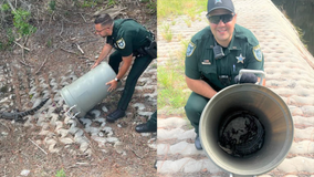 Florida deputies remove baby alligator from driveway using a... trash can?