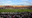 UCF makes game-changing tech upgrades to FBC Mortgage Stadium, including improved cell service