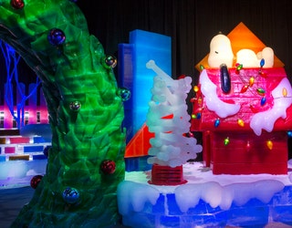 Ice Sculptures in Orlando