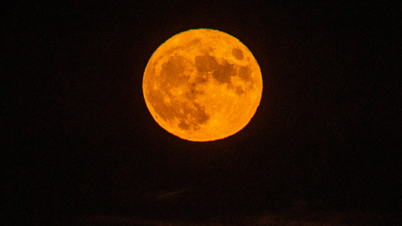 Look up: First of 2 August supermoons to light up Florida skies this week