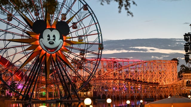 Disney auction: Collector selling 1,500 rare items from Disney theme parks, attractions, souvenirs