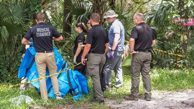 Body of woman found alongside road in New Smyrna Beach