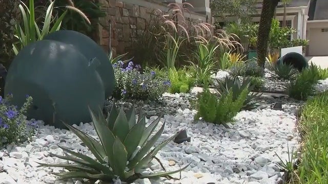 Florida couple in dispute with Avalon Park HOA over decorative stones in yard