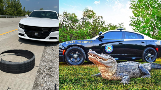Florida Highway Patrol target of hilarious troll by competition in national 'best looking cruiser' contest