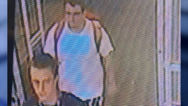 Florida duo caught after allegedly stealing $250 in Pokémon cards: deputies