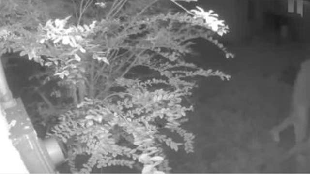 Florida thieves take precious item from widow of deputy, officials say