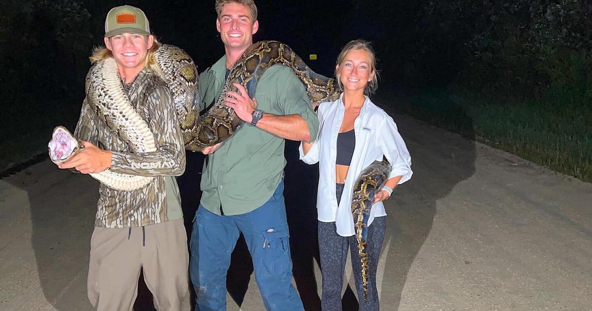 UCF freshman catches 16-foot python in Florida Everglades | FOX 35