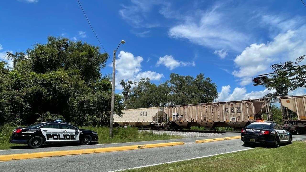 Man struck, killed by train in Ocala: Police - Vimarsana News
