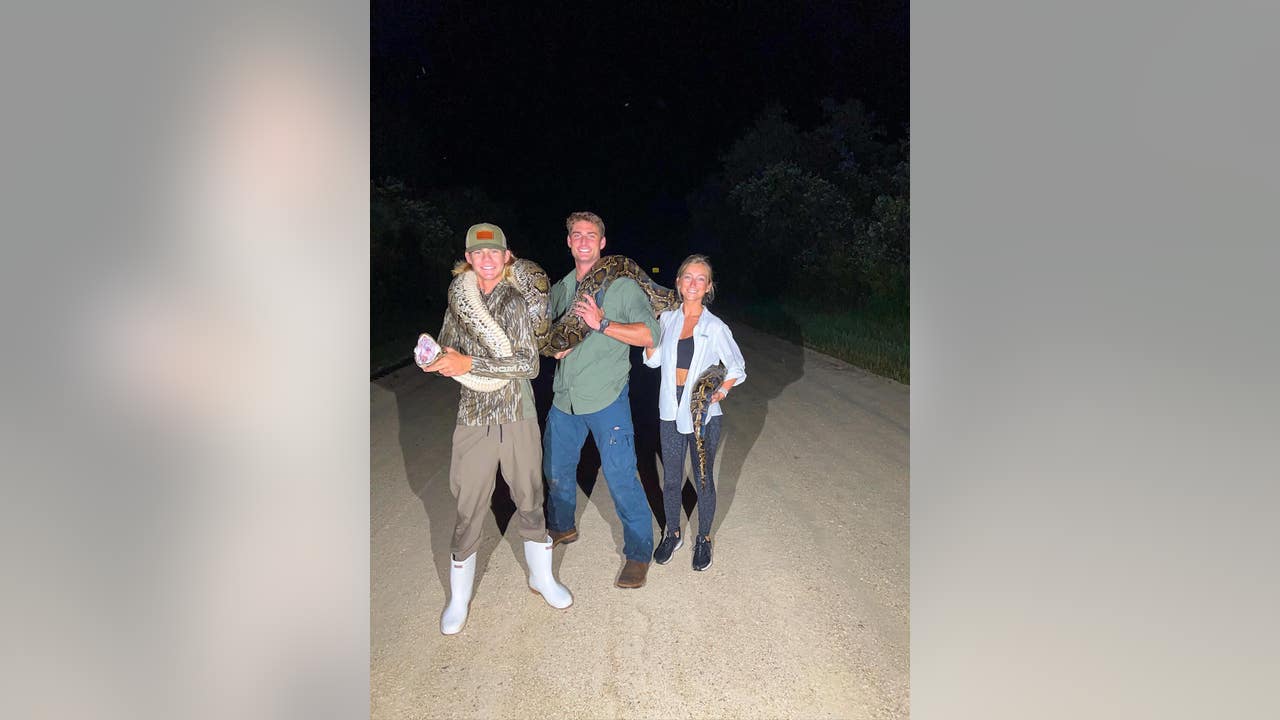 UCF freshman catches 16-foot python in Florida Everglades