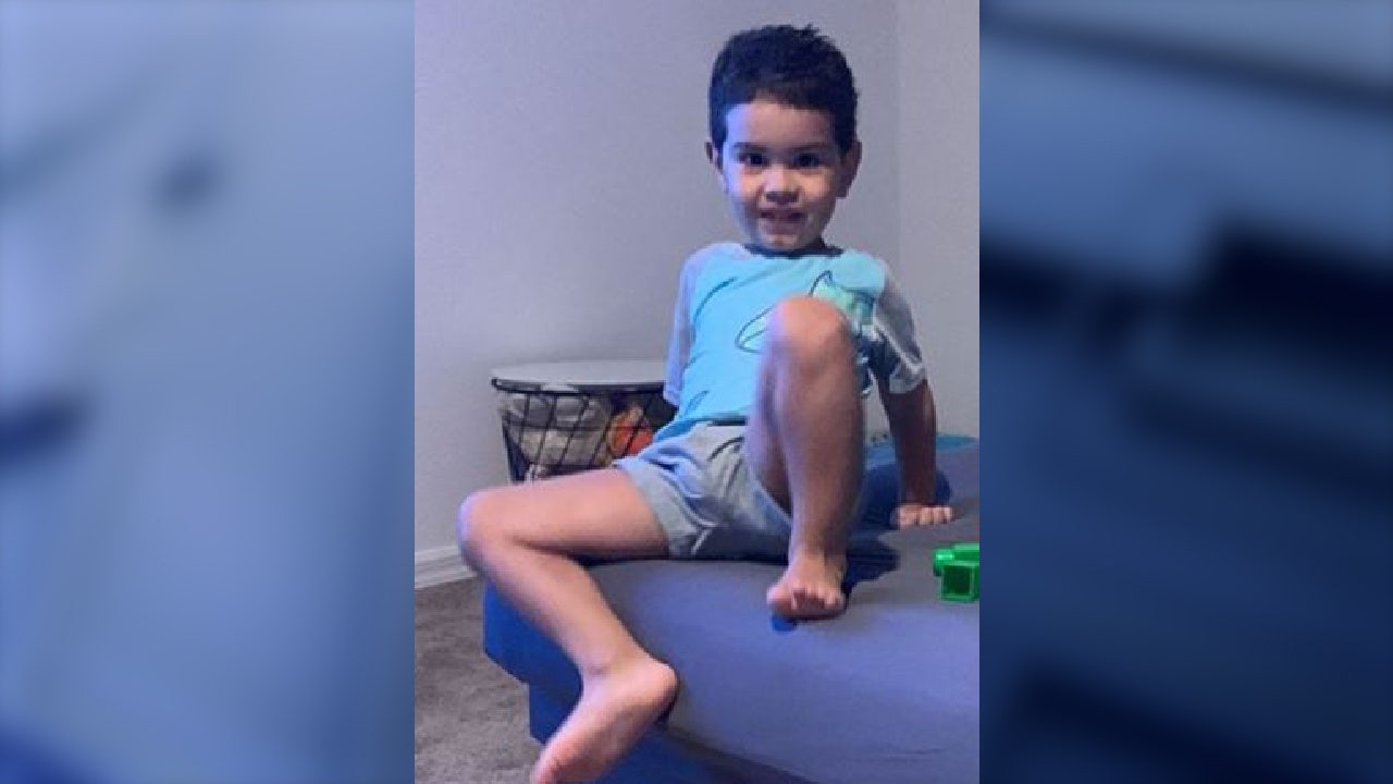 3-year-old Florida boy found alive after wandering away from home: deputies - Vimarsana News