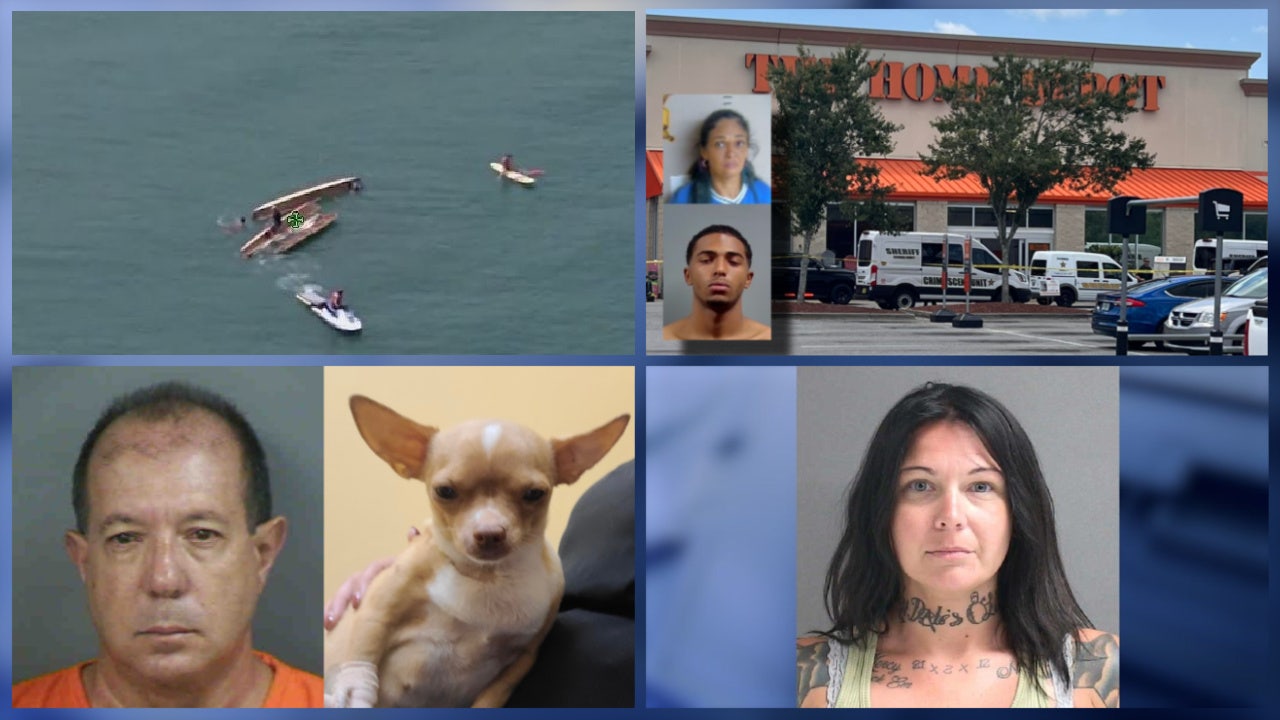 Bogus FL veterinarian performs deadly surgery on pregnant dog • FL mom helped son plan deadly shooting - Vimarsana News