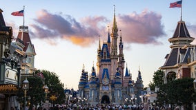 Florida man sues Disney for $50K after allegedly falling off popular ride: lawsuit