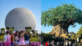 Walt Disney World unveils exclusive offer for Florida residents
