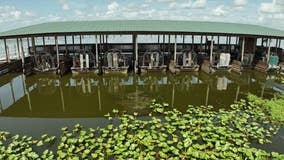 Wild Florida airboat crash: 13 hurt after 2 airboats collide during tour