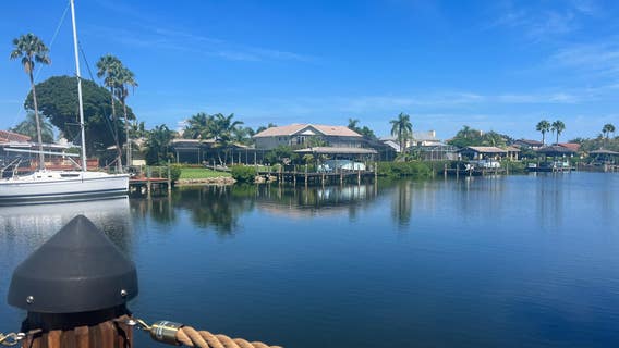 'A frickin danger’: Neighbors worried after crocodile devours small dog in Florida canal
