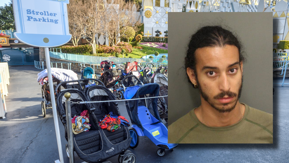 Florida man swipes car keys from baby stroller at Walt Disney World park, rummages through car: deputies