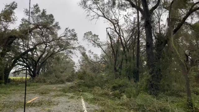 Tropical Storm Idalia: Storm damage, flooding, toppled trees in hurricane's aftermath