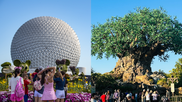 Walt Disney World unveils exclusive offer for Florida residents