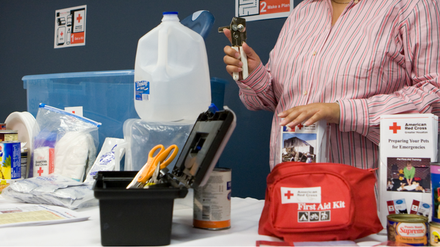 Tropical Storm Idalia: How to prepare, what to include in home emergency kit