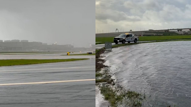 Is Tampa International Airport open? See latest update after Hurricane Idalia forces brief closure