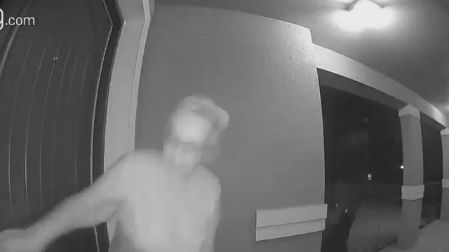 Woman, puppy startled as bear surprises them at front door of Florida home