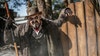 Gatorland's 'Gators, Ghosts and Goblins' returns for 5th year