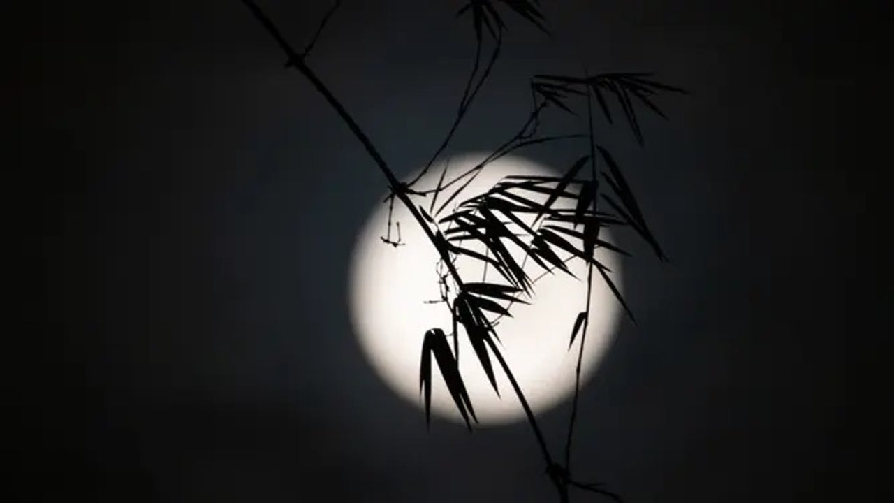 Harvest Moon: Last Supermoon of 2023 happens Friday - Vimarsana News