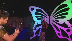 Earth Illuminated: New attraction lights up Orlando's I-Drive and it's the perfect spot for your next photo op