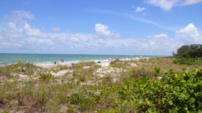 These Florida cities are the top trending destinations for fall travel, according to Tripadvisor