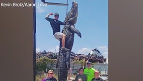 Orange County man catches second-heaviest gator on Florida record