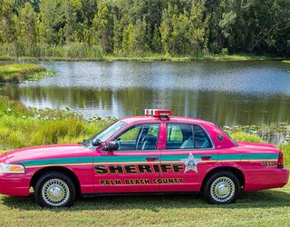 Pink Dodge Charger police car wrap in Orlando, October is B…