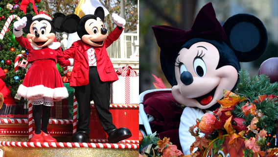 Walt Disney World unwraps exclusive offer for Florida residents ahead of busy holiday season