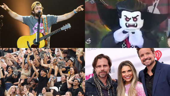 9 fun things to do in Central Florida this weekend: Cat show, UCF football, St. Patrick's Day fest & more