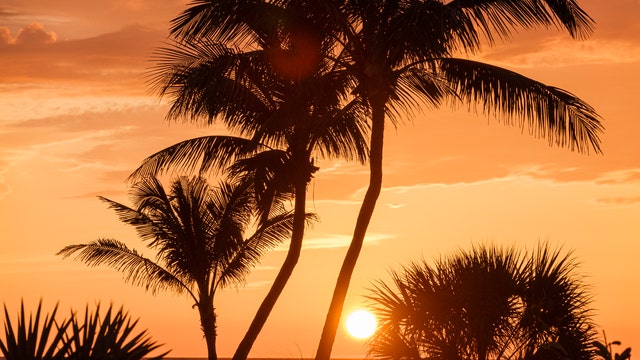 Visiting Florida? Here are 9 fun things you can do on your vacation to the Sunshine State