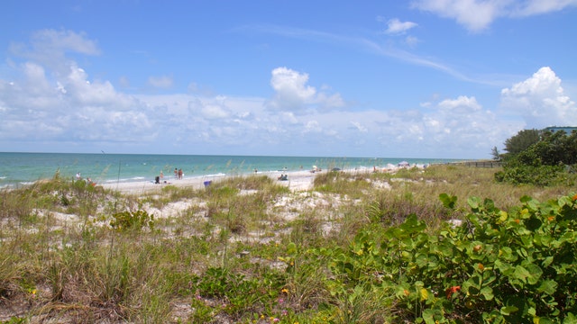 These Florida cities are the top trending destinations for fall travel, according to Tripadvisor