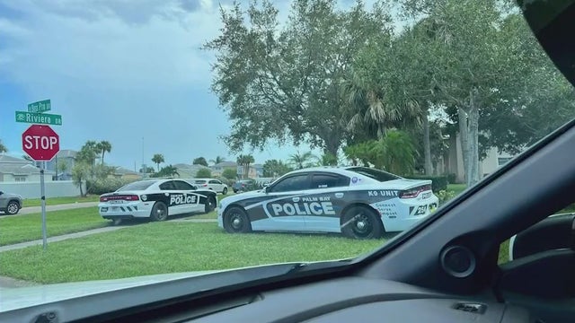 Alleged hatchet attack is latest in string of crimes in Palm Bay