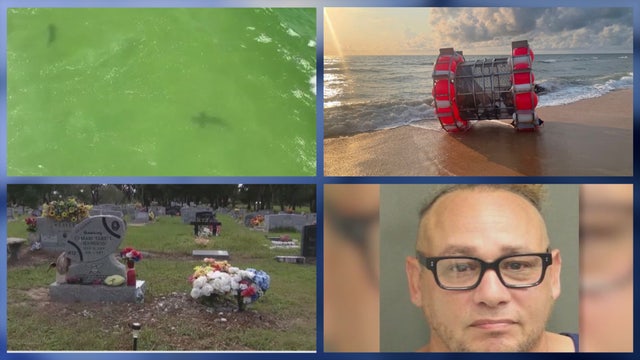 2 bitten by sharks at same FL beach • 2 brothers headstones vandalized at cemetery • FL couple drowned child