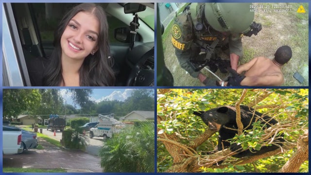 NY teen wanted for murder arrested in FL • Dog found alive after FL bear attack • FL man killed pregnant woman