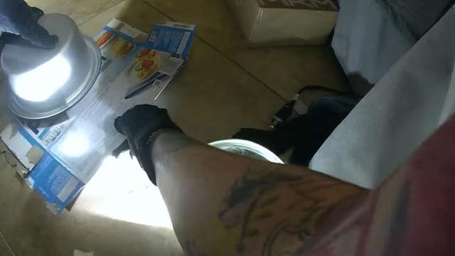 Panicked Florida family calls 911 after finding a slithering surprise