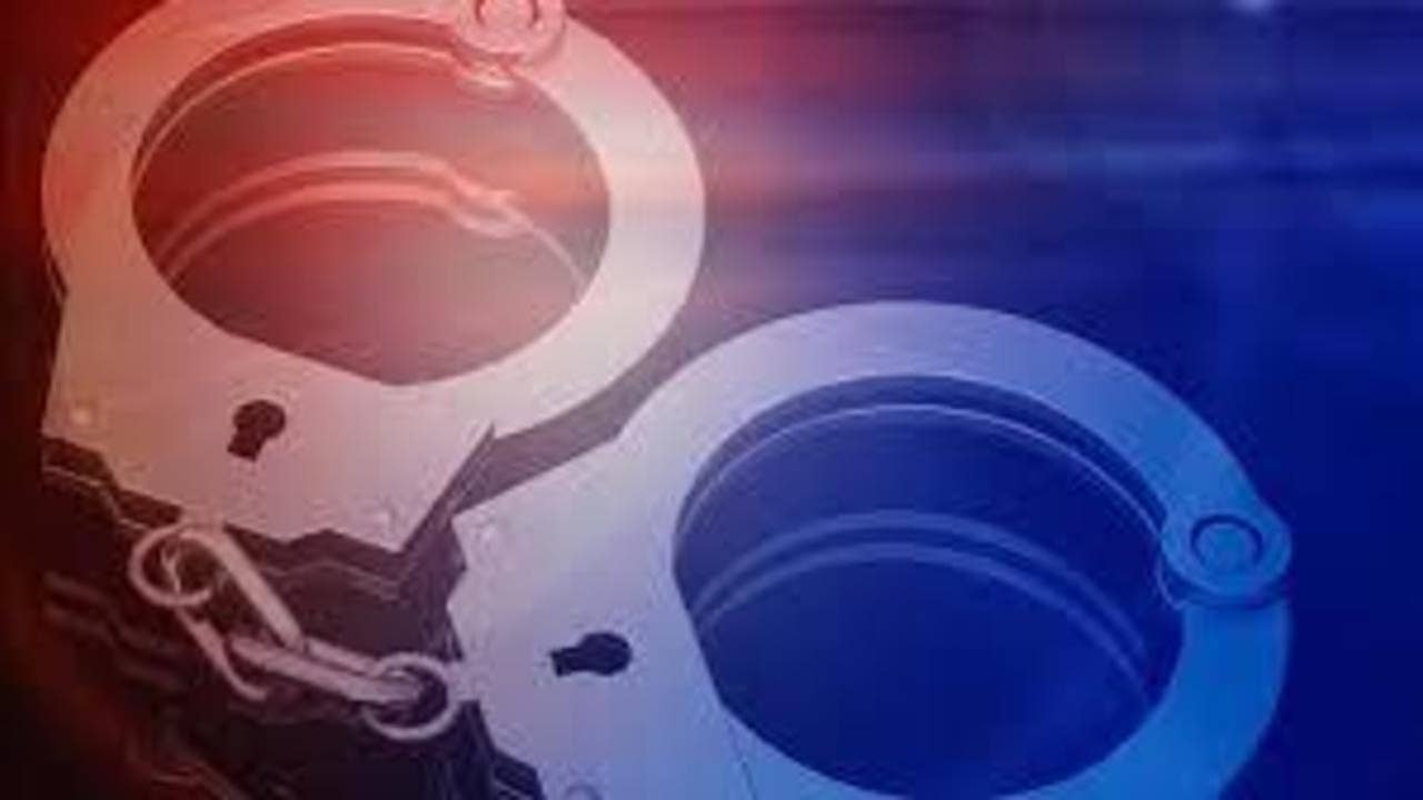 Mom accused of lying to police about 'missing' 7-year-old daughter with autism - Vimarsana News