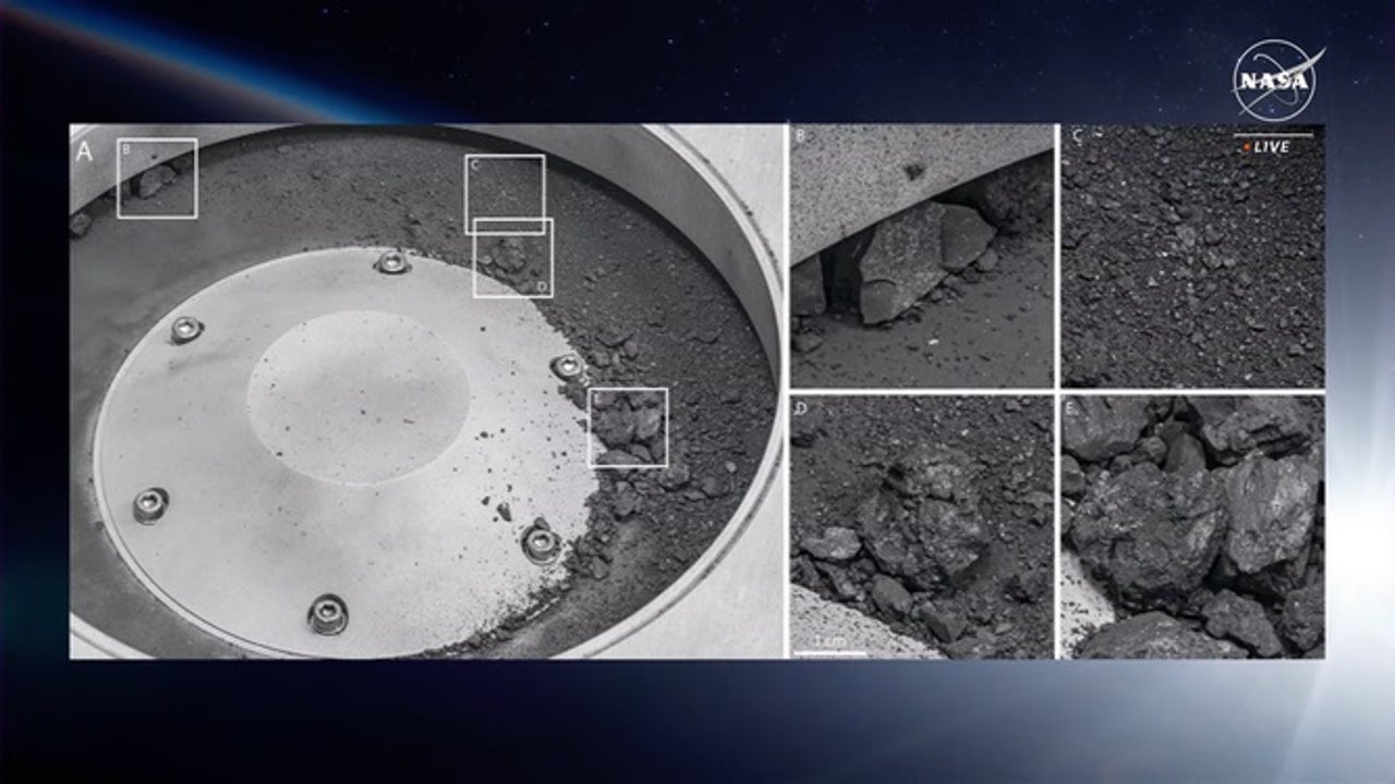 NASA finds water, building blocks of life in largest-ever asteroid sample - Vimarsana News