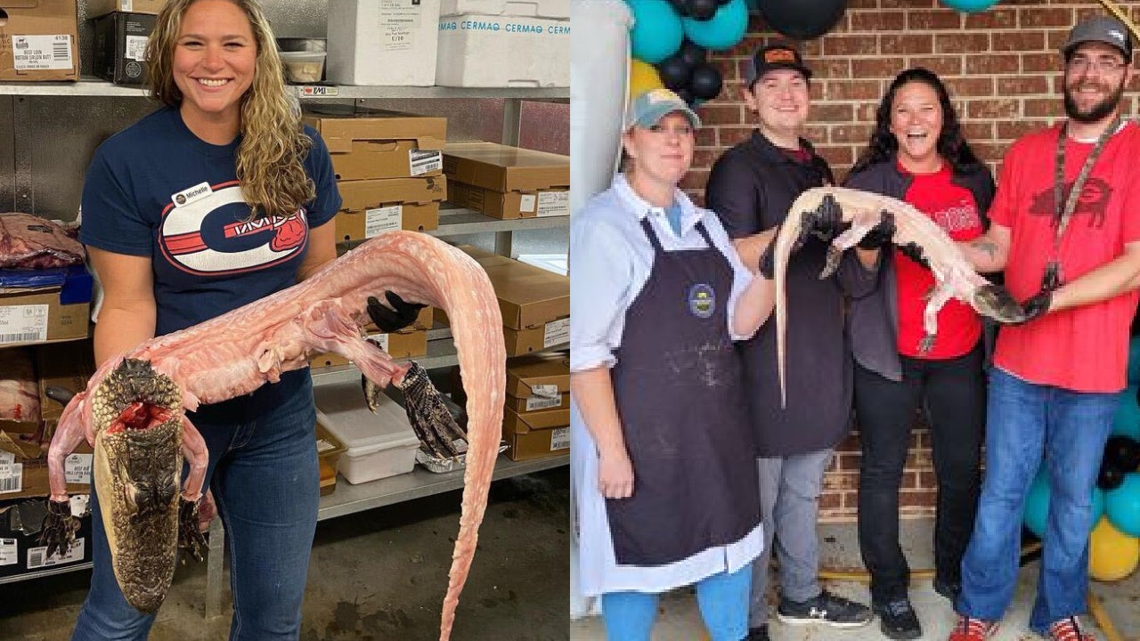 Georgia grocery store selling whole skinned alligators for Gator