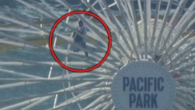 Man climbs Santa Monica Pier Ferris Wheel